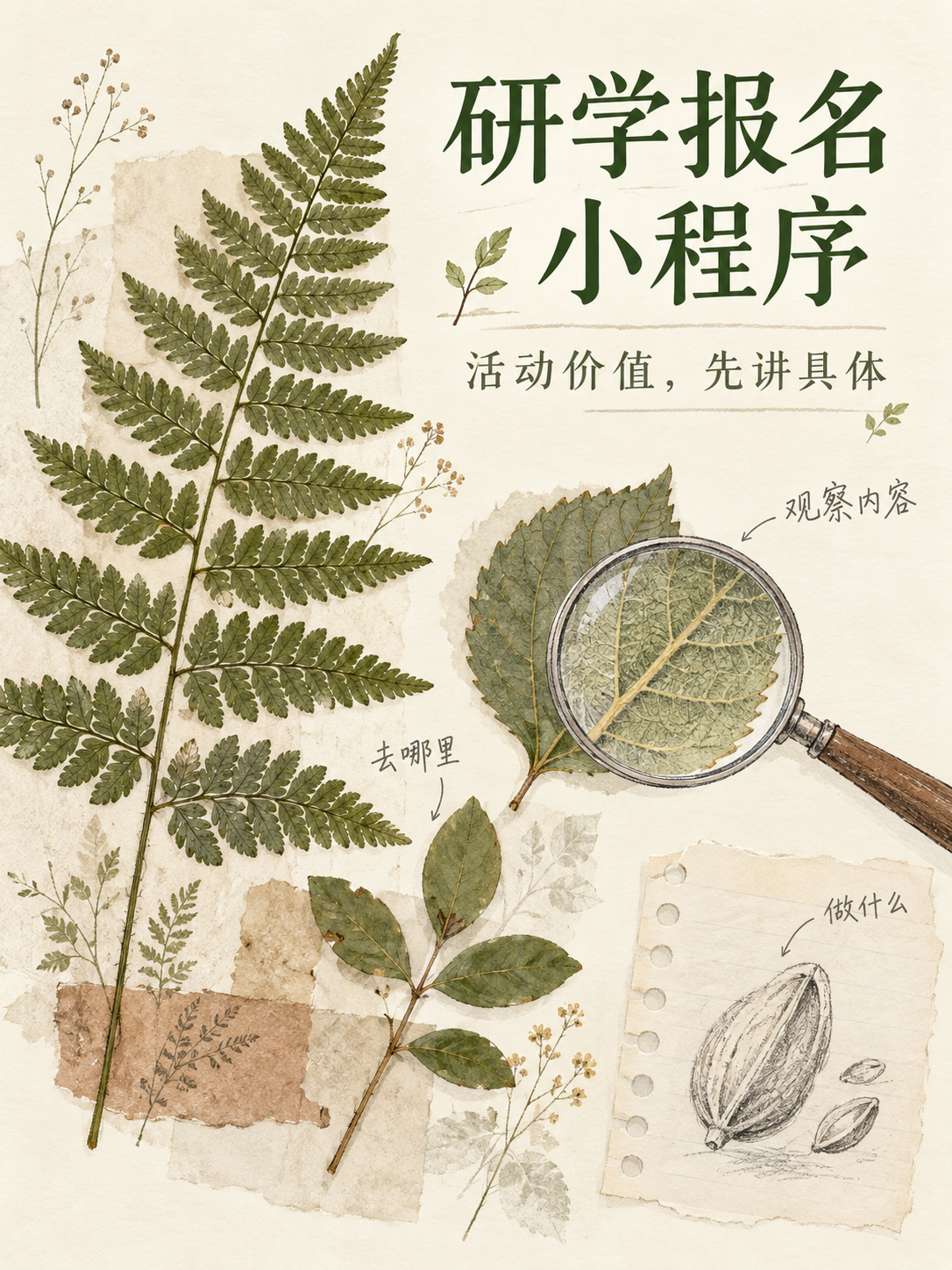 研学报名小程序怎样讲清活动价值